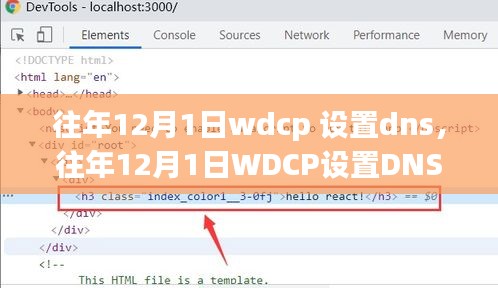 往年12月1日WDCP设置DNS详解，观点阐述与解析