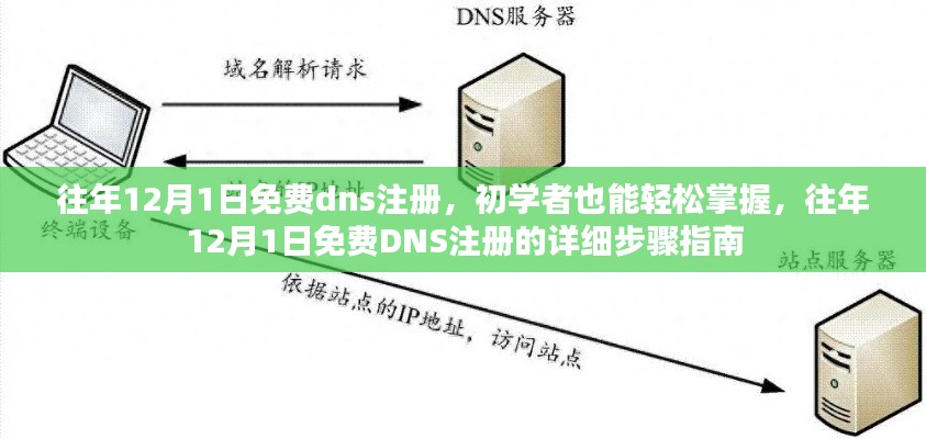 往年12月1日免费DNS注册全攻略，初学者轻松上手，详细步骤指南