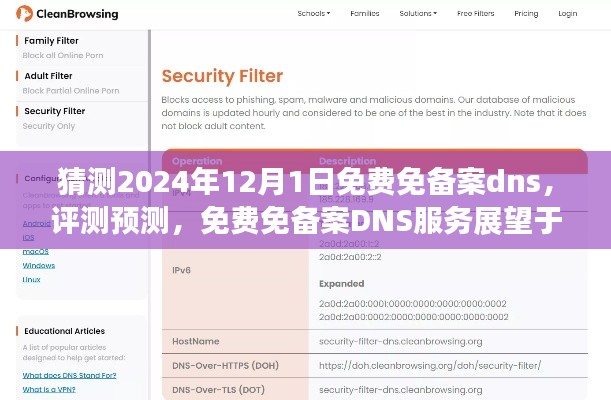 2024年12月1日免费免备案DNS服务展望与评测预测