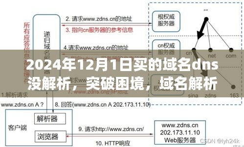 突破困境，域名解析的挑战与成长之路——从2024年域名购买到成功解析的历程