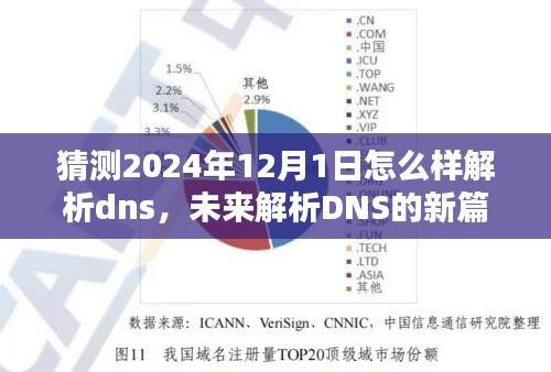 未来DNS技术趋势解析，2024年12月1日的DNS技术展望与解析策略探索