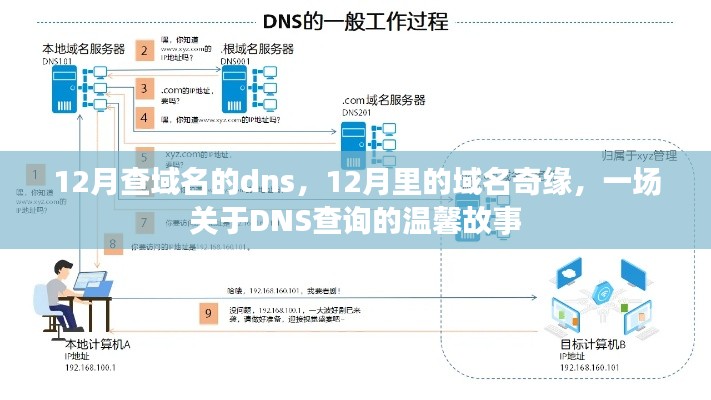 12月域名奇缘，一场关于DNS查询的温馨探索之旅