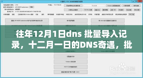 往年12月1日DNS批量导入记录，爱的陪伴与奇遇日