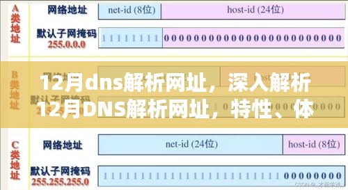 12月DNS解析网址全面解析，特性、体验、竞品对比及用户群体深度分析