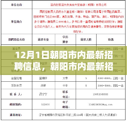 12月1日朝阳市内最新招聘信息，朝阳市内最新招聘信息大揭秘！12月1日全新岗位等你来挑战！