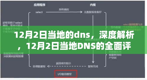 12月2日当地DNS深度解析与全面评测介绍