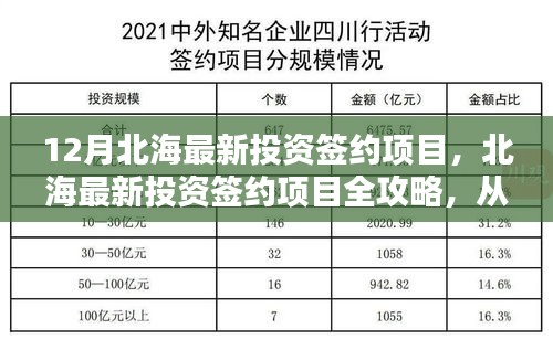 北海最新投资签约项目详解，从入门到签约的步骤全攻略（初学者与进阶用户必看）