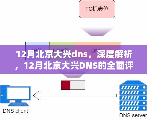 12月北京大兴DNS全面评测与深度解析