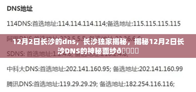揭秘，长沙DNS的神秘面纱，独家解读长沙DNS的奥秘（12月2日）