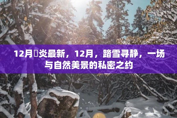 12月踏雪寻静，与自然美景的私密之约