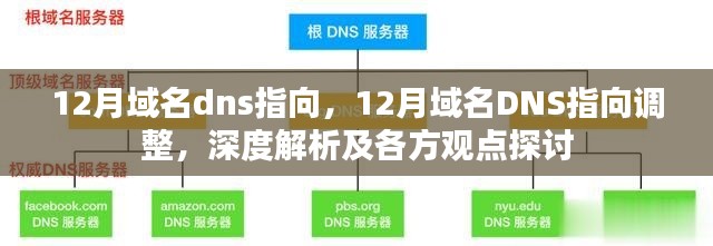 12月域名DNS指向调整详解，深度解析与多方观点探讨