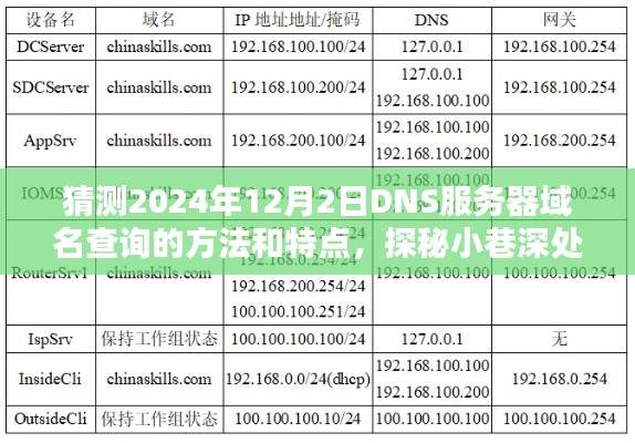 探秘未来域名查询新风尚，小巷深处的独特小店与DNS服务器域名查询方法和特点的预测（2024年视角）