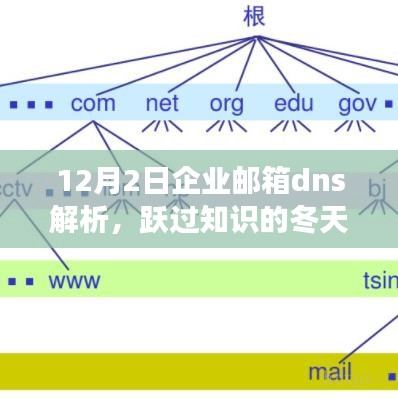 企业邮箱DNS解析之旅，自信跃过知识冬天，成长奇迹展现辉煌