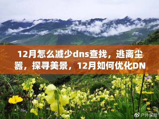 12月优化DNS查找指南，减少查找时间，逃离尘嚣探寻美景，开启心灵之旅