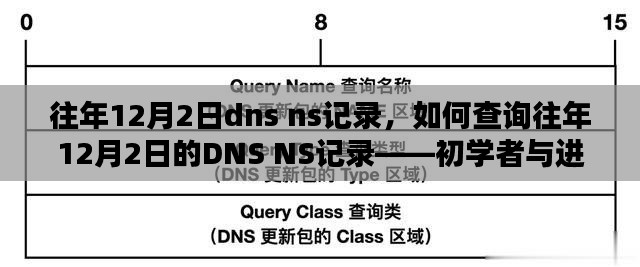 如何查询往年12月2日的DNS NS记录——初学者与进阶用户指南详解