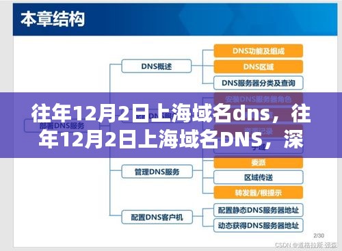 深度解析与观点阐述，上海域名DNS历年变化及影响分析（往年12月2日篇）