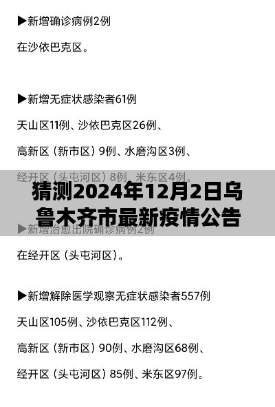 2024年12月2日乌鲁木齐市疫情预测与回顾，新篇章的展望