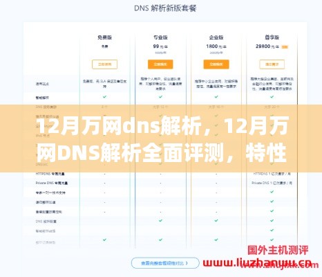 全面评测万网DNS解析，特性、体验、竞争分析与目标用户群体深度剖析