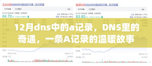 一条A记录的温暖故事，探寻DNS中的奇遇与情感