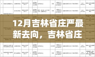 吉林省庄严最新动向揭秘，成长与自信的蜕变见证于十二月