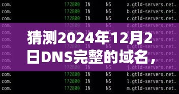 关于未来DNS域名预测，2024年12月2日DNS域名完整名称的探讨与预测分析