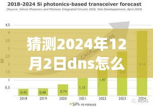 揭秘未来DNS新变化，预测2024年DNS发展趋势及影响分析