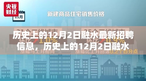 历史上的12月2日融水最新招聘信息，历史上的12月2日融水最新招聘信息全面评测，特性、体验、竞争分析与用户群体洞察