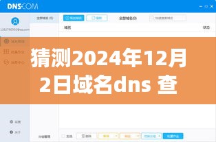 掌握未来域名DNS查询，自信闪耀每一天的预测与探索（2024年12月2日）