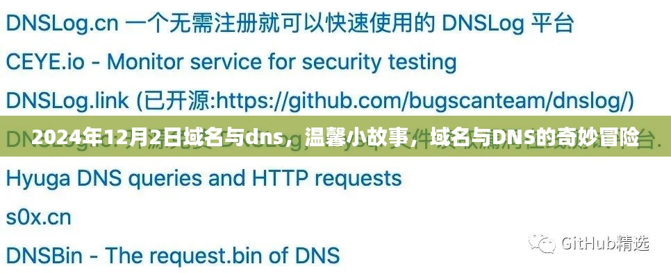 域名与DNS的奇妙冒险，温馨小故事（2024年12月2日）