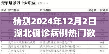 2024年12月2日湖北确诊病例热门数据预测与解析