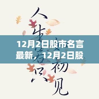 12月2日股市名言最新解读，投资智慧与市场洞察的洞察