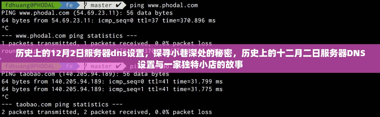 历史上的12月2日服务器dns设置，探寻小巷深处的秘密，历史上的十二月二日服务器DNS设置与一家独特小店的故事