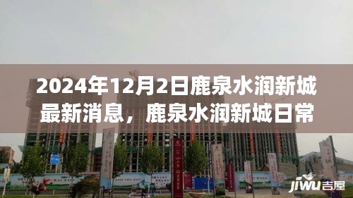 鹿泉水润新城，最新动态、日常趣事与家园温馨喜悦的传递（2024年12月2日）