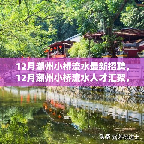 潮州小桥流水人才汇聚，最新招聘动态与职业机遇探索