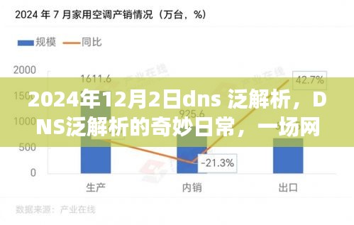 网络世界的温馨冒险之旅，DNS泛解析的奇妙日常