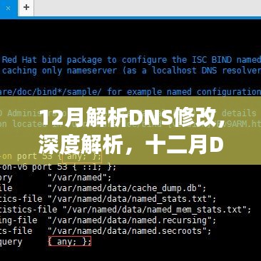 深度解析，十二月DNS修改的幕后真相、影响及地位