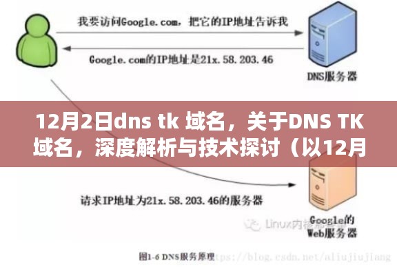 关于DNS TK域名的深度解析与技术探讨，以12月2日为时间节点的新观察