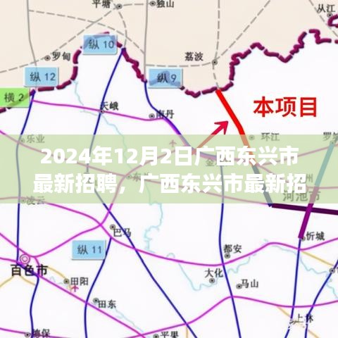 广西东兴市最新招聘市场深度测评报告，深度解析2024年招聘市场趋势与机遇