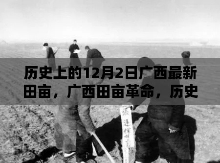 历史上的12月2日，广西田亩革命与科技重塑农业新纪元之路