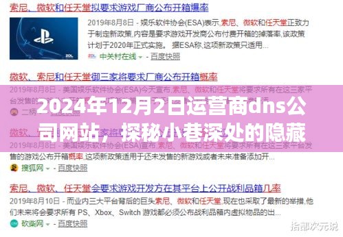 探秘运营商dns公司网站的隐藏宝藏，独特小店的深度之旅（2024年12月2日）