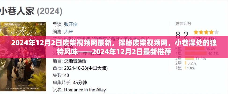 探秘废柴视频网，小巷深处的独特风味，最新推荐（2024年12月2日）