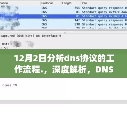 深度解析，DNS协议工作流程及在12月2日的运行脉络与影响