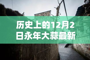 永年大蒜十二月秘密，历史价格、秘境探索与小巷深处的蒜香传奇