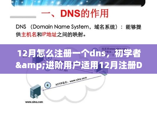 12月注册DNS域名解析服务步骤指南，初学者与进阶用户适用