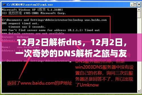 12月2日DNS解析之旅，友情与技术的奇妙交织