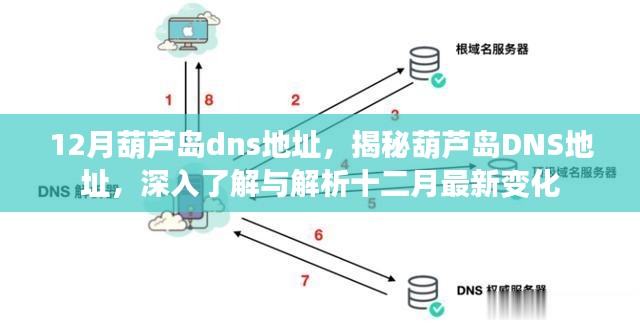 揭秘十二月葫芦岛DNS地址最新变化及深入了解