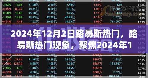 聚焦路易斯热门现象，深度解读与观点碰撞 2024年12月2日