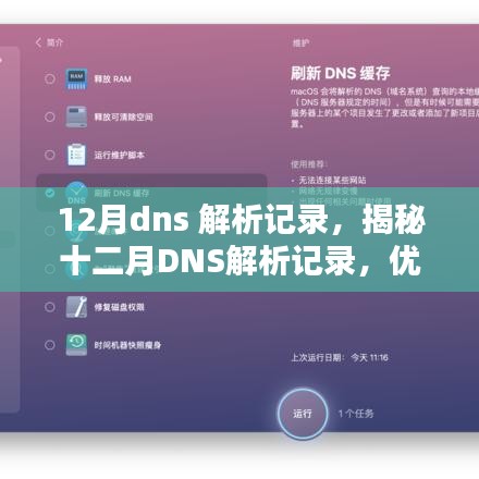 揭秘十二月DNS解析记录，优化网络性能的关键步骤与策略