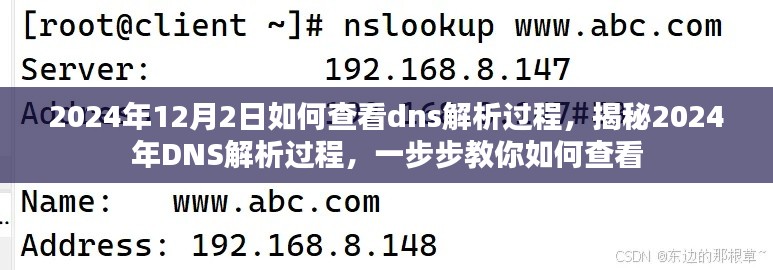 揭秘2024年DNS解析过程，一步步教你如何查看与解析DNS记录过程详解