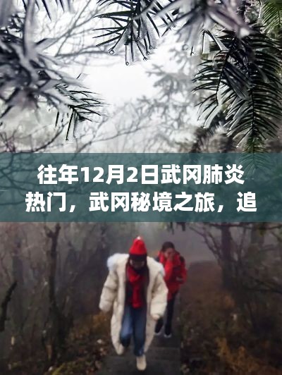 武冈秘境之旅，探寻肺炎阴影下的自然之光历程